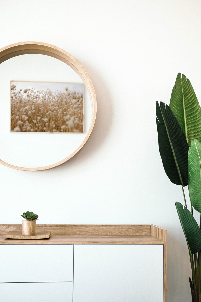 May include: A white cabinet with two drawers and a wooden top. A small potted succulent plant sits on the top of the cabinet. A round wooden mirror hangs on the wall behind the cabinet, reflecting a framed photograph of a field of tall grass.