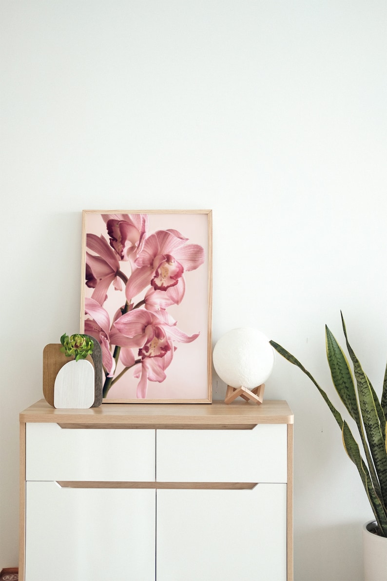 May include: A framed print of a pink orchid flower against a light pink background. The print is on a wooden dresser with a white moon lamp and a potted snake plant.