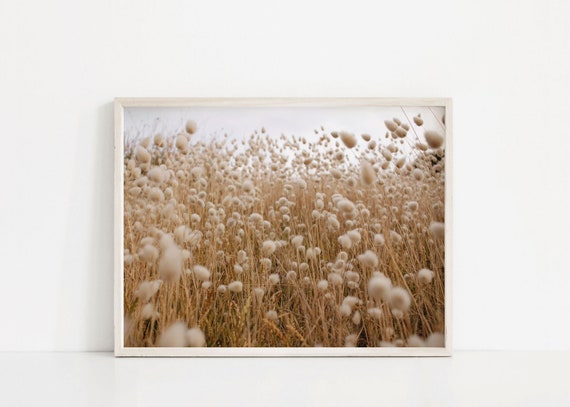 Bunny Tail Grass Print, Pampas Grass Decor, Bedroom Wall Decor, Boho Wall Decor, Printable Wall Art, Art Print, Farmhouse Art, Neutral Art