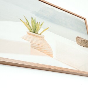 May include: A framed photograph of a potted succulent plant in a white ceramic pot. The plant is green and has long, thin leaves. The background is a white wall with a blurry view of a mountain range in the distance.