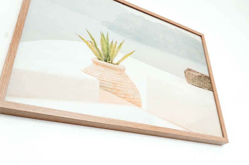 May include: A framed photograph of a potted succulent plant in a white ceramic pot. The plant is green and has long, thin leaves. The background is a white wall with a blurry view of a mountain range in the distance.