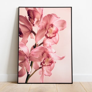 May include: A close-up of a pink orchid flower with a soft, blurred background.
