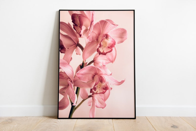 May include: A close-up of a pink orchid flower with a soft, blurred background.
