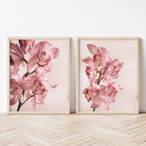 May include: Two framed prints of pink orchid flowers on a light pink background.