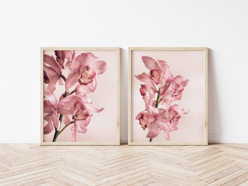 May include: Two framed prints of pink orchid flowers on a light pink background.