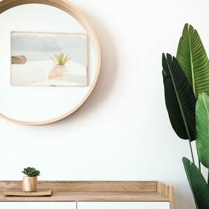 May include: A white cabinet with two drawers and a wooden top. A small potted succulent plant sits on the top of the cabinet. A round wooden mirror hangs on the wall behind the cabinet. A large green plant with long leaves is on the right side of the image.