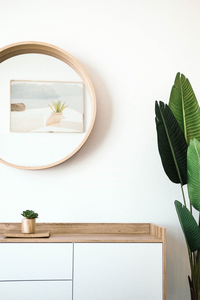 May include: A white cabinet with two drawers and a wooden top. A small potted succulent plant sits on the top of the cabinet. A round wooden mirror hangs on the wall behind the cabinet. A large green plant with long leaves is on the right side of the image.
