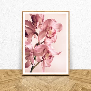 May include: A framed print of a close-up of pink orchid flowers with a soft, blurred background.