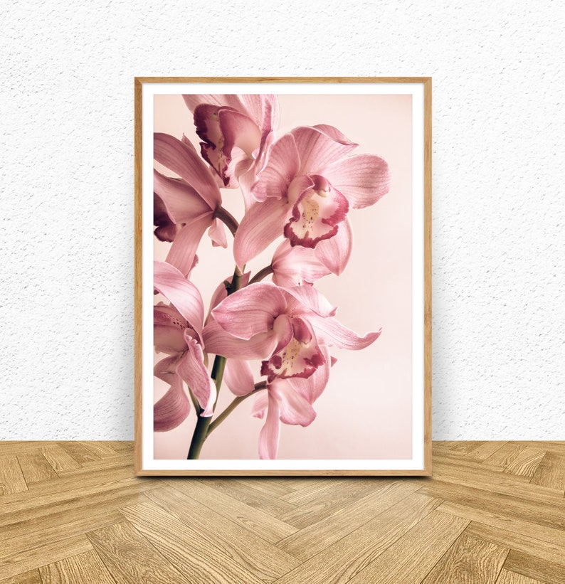 May include: A framed print of a close-up of pink orchid flowers with a soft, blurred background.