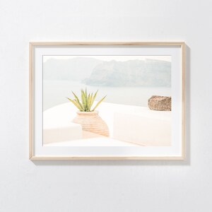 May include: A framed photograph of a potted plant with a rock in the foreground. The background shows a view of a body of water and a mountain range.