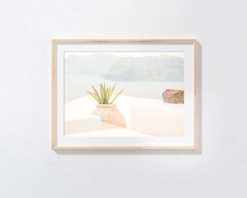 May include: A framed photograph of a potted plant with a rock in the foreground. The background shows a view of a body of water and a mountain range.