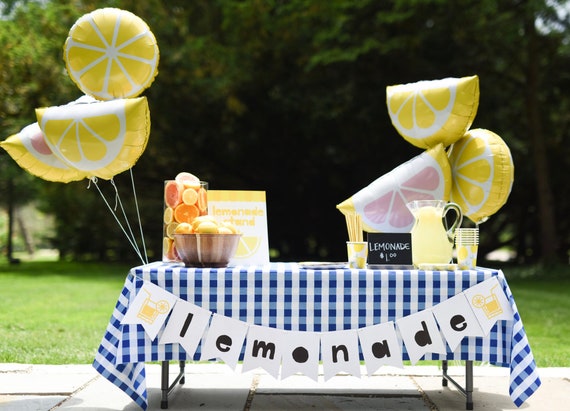 Lemonade Stand Kit Lemonade Party Decorations Lemonade Etsy