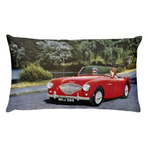 May include: A red vintage convertible car driving on a road with a lake and trees in the background. The car has a license plate that reads "NOJ 389".