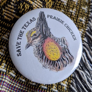 K&ouml;nnte beinhalten: Wei&szlig;er runder Button mit einer detaillierten Illustration eines Pr&auml;riehuhns. Der Text "SAVE THE TEXAS PRAIRIE CHICKEN" ist um den Vogel herum gedruckt. Die Vogelillustration verwendet Braun-, Gelb- und Rott&ouml;ne.