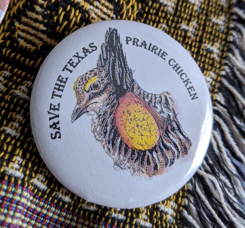 K&ouml;nnte beinhalten: Wei&szlig;er runder Button mit einer detaillierten Illustration eines Pr&auml;riehuhns. Der Text "SAVE THE TEXAS PRAIRIE CHICKEN" ist um den Vogel herum gedruckt. Die Vogelillustration verwendet Braun-, Gelb- und Rott&ouml;ne.