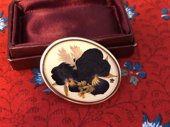 Vintage Wild Irish Wildflower Mid-Century Pressed Flower Brooch - Original Box