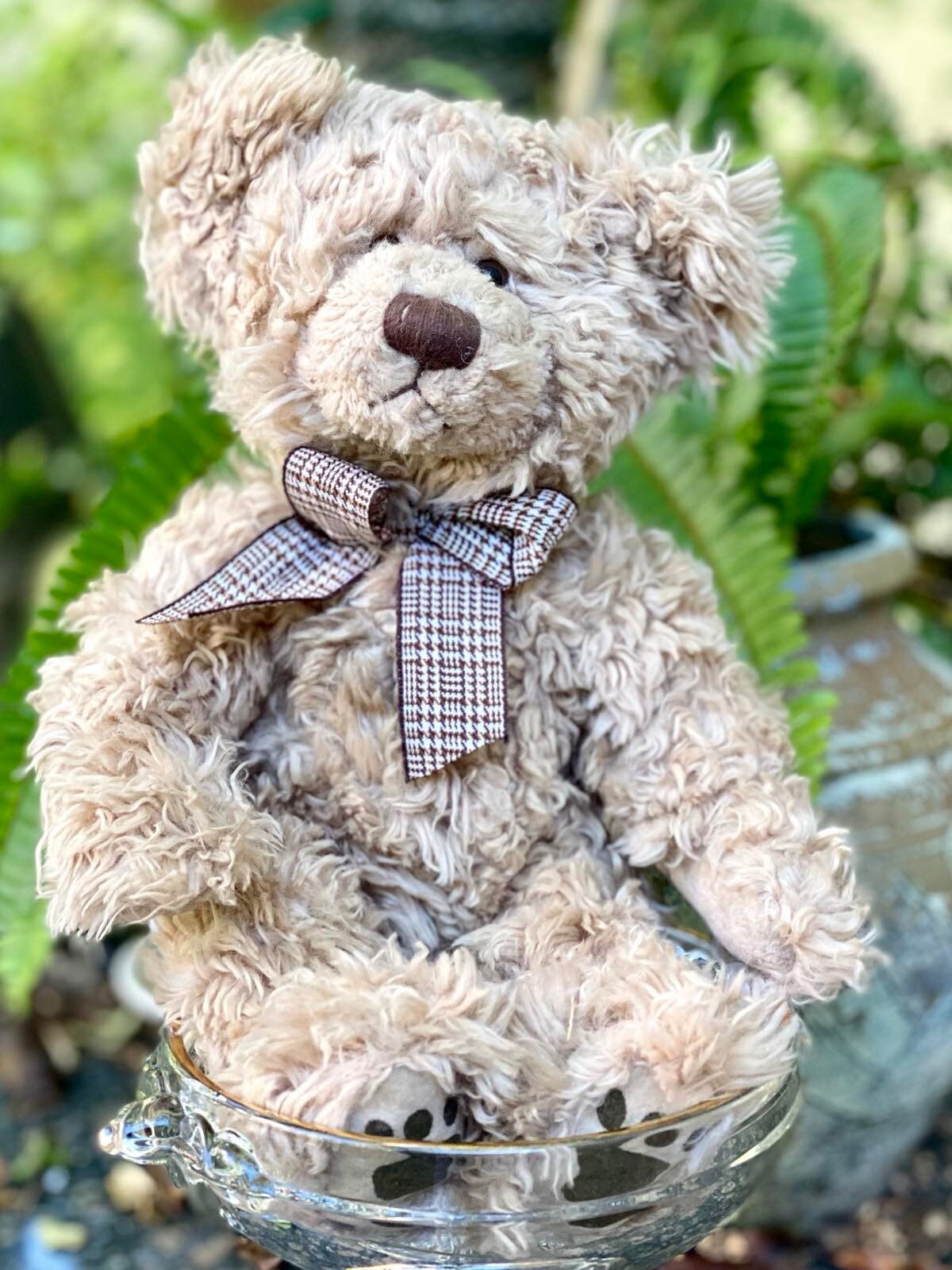 tomfoolery teddy bears