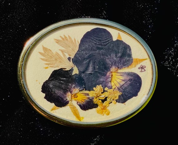 Vintage Wild Irish Wildflower Mid-Century Pressed Flower Brooch - Original Box View 2