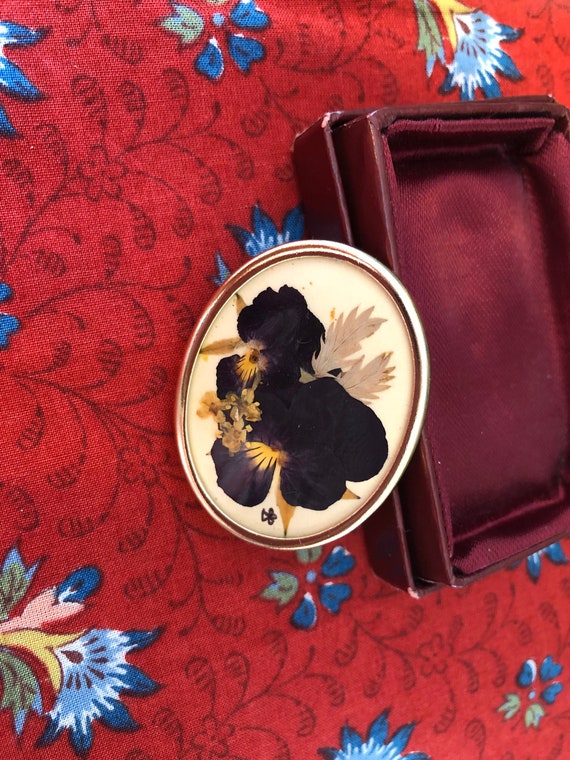 Vintage Wild Irish Wildflower Mid-Century Pressed Flower Brooch - Original Box View 4