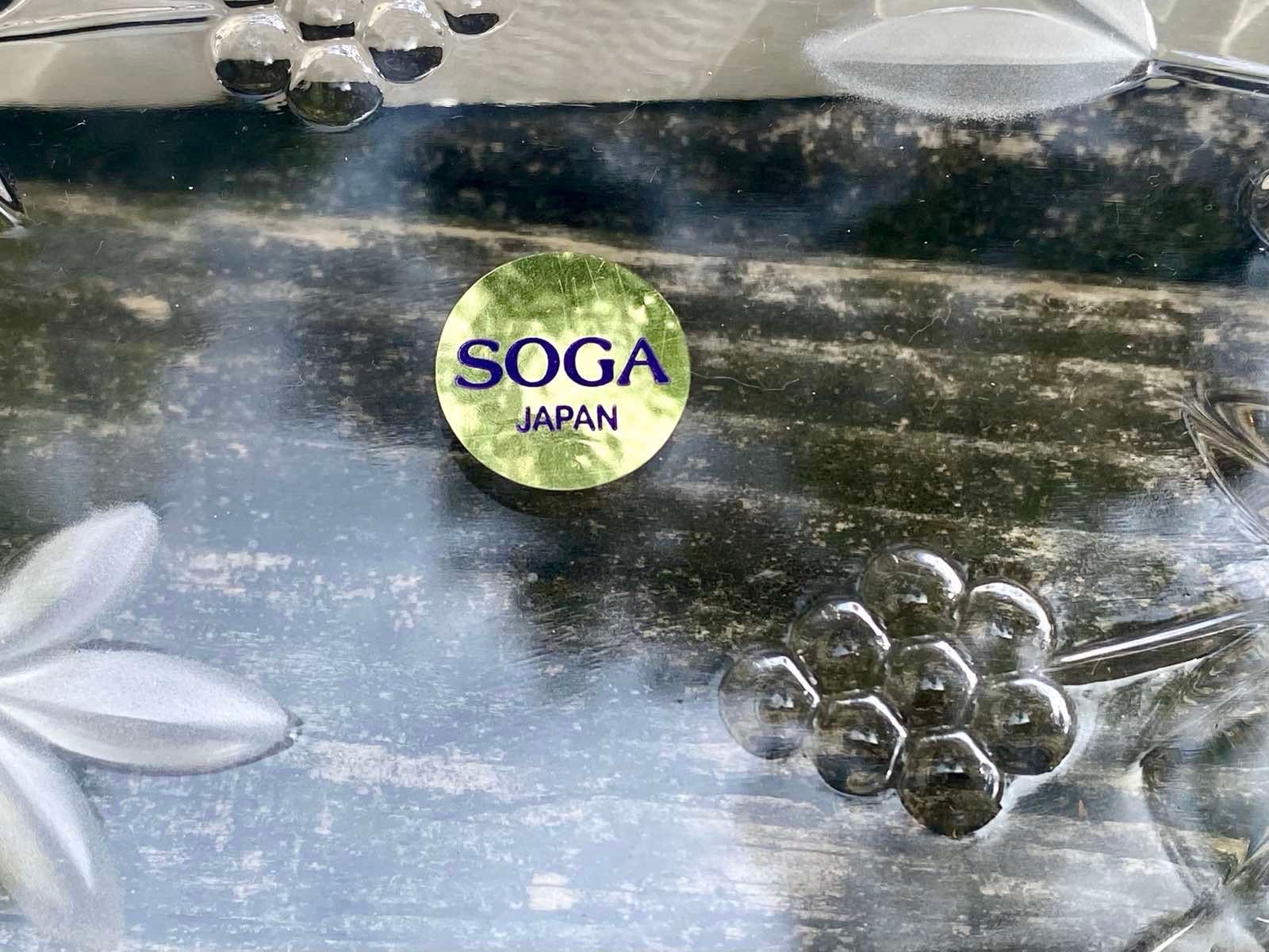 Japan SOGA Glass Oval Medium Plate Garden Terrace Designed for