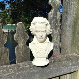 Può includere: Busto in ceramica bianca di un uomo con capelli corti e ricci. Il busto è dettagliato con un colletto e un elemento decorativo sul petto.