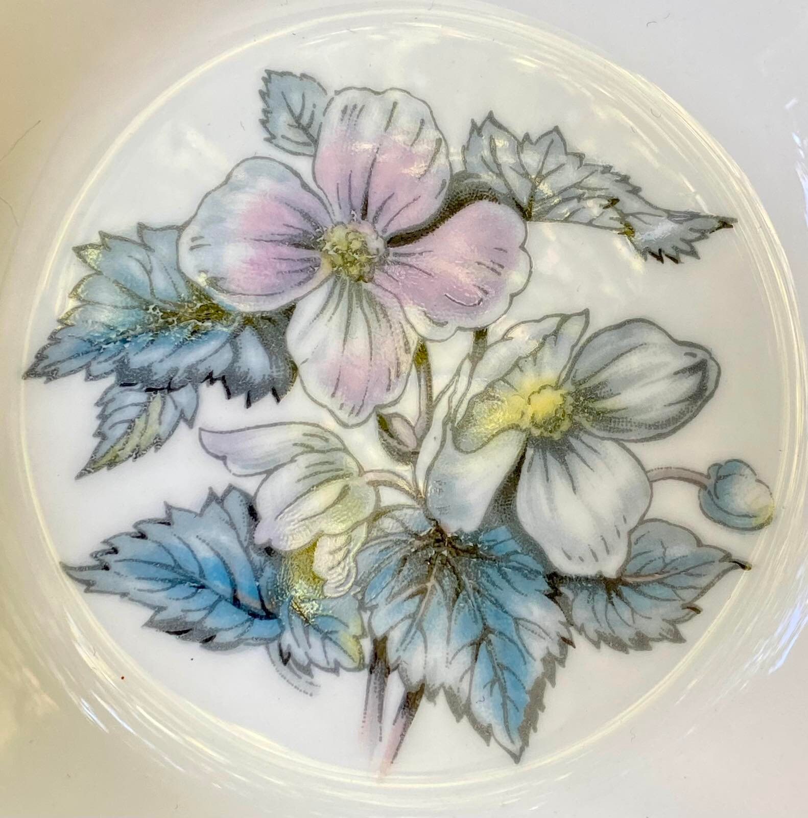 Royal Worcester ロイヤルウースター Herbs | Plate Two Porcelain of