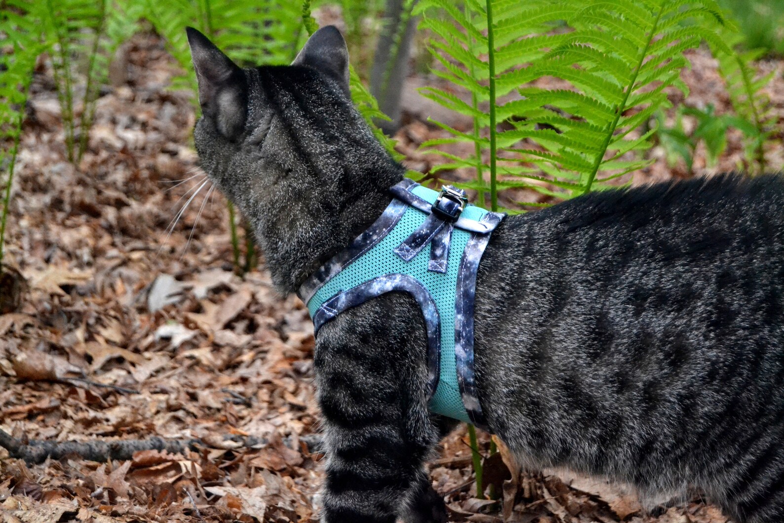 Mesh Stepin Harness Digital PDF Pattern Etsy