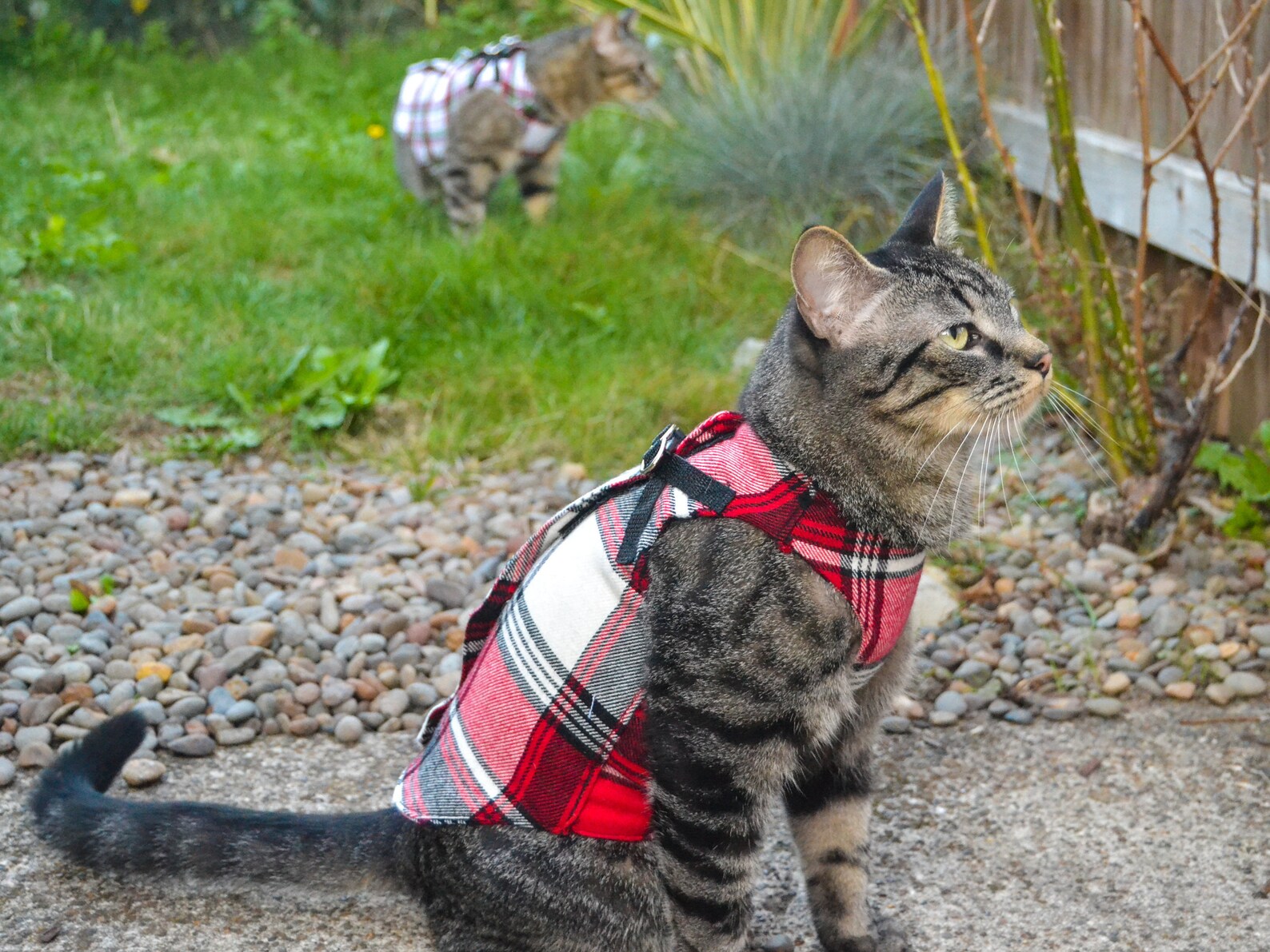 Cozy StepIn Cat Harness Digital Sewing Pattern Etsy