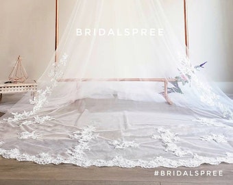 STUNNING Lace Cathedral Veil