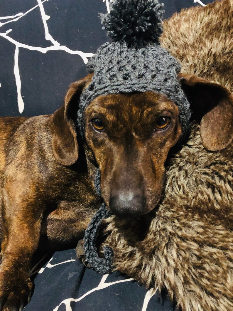 Besitzer Hund passende Hüte Bild 2