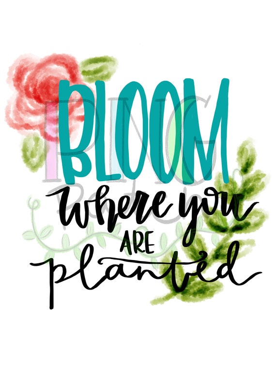Bloom Where You Are Planted, PNG Digital Design, Sublimation Design  Download, Print and Cut, Digital Download, Printable - Etsy