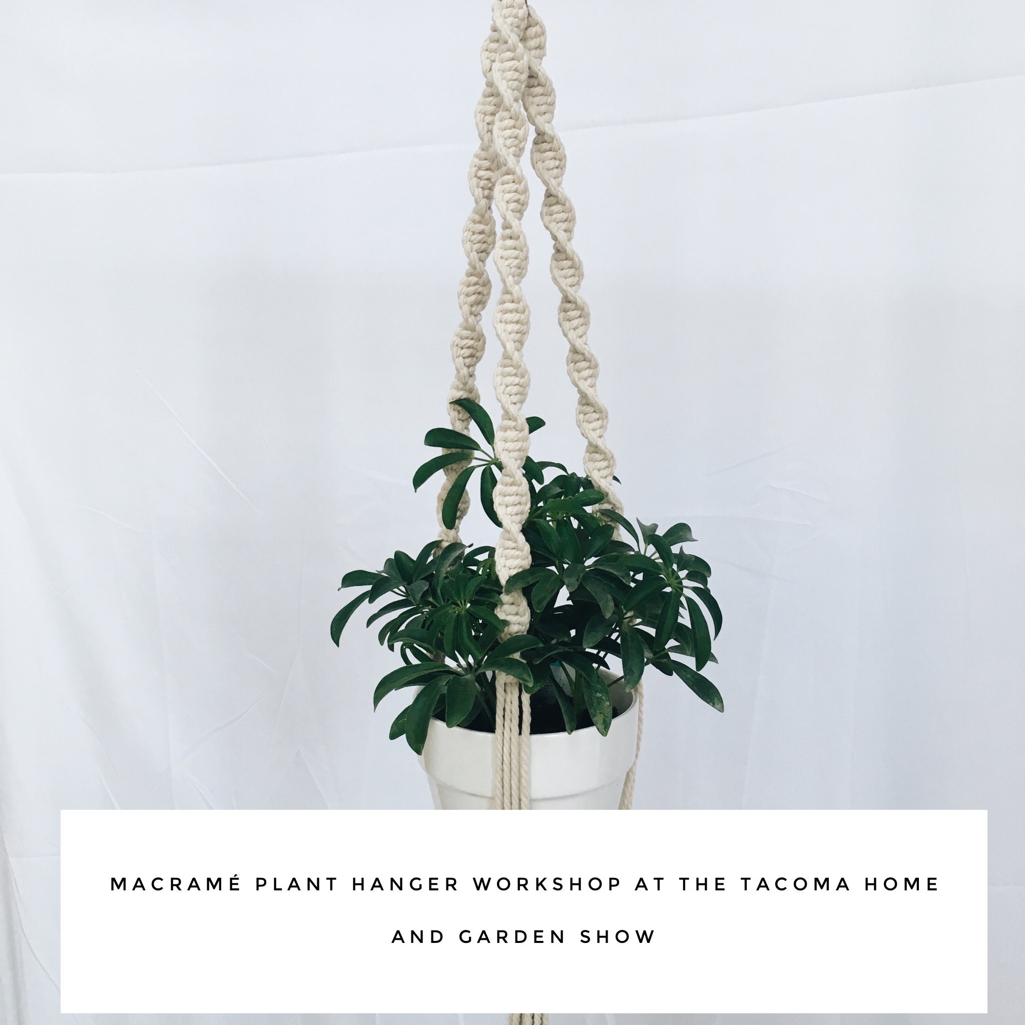 Ticket To The Tacoma Home And Garden Show Macrame Plant Hanger Etsy