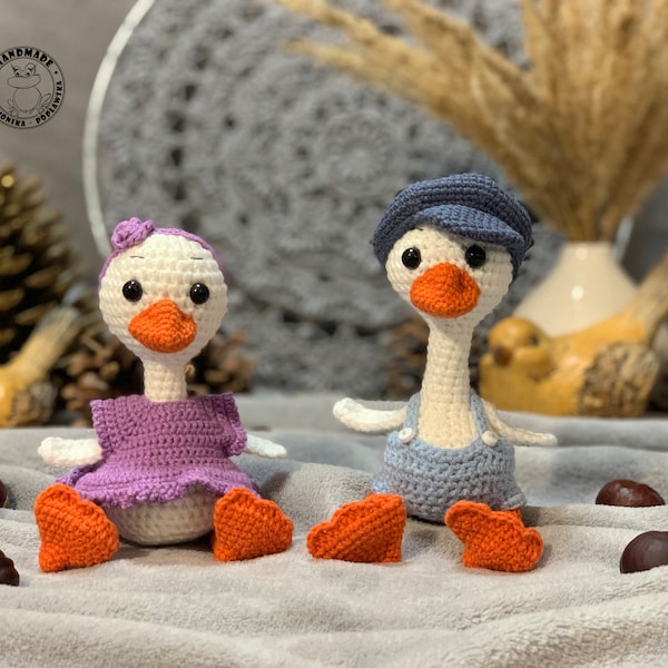 LITTLE COUPLE of GEESE Crochet white goose in outfit Cute tiny goose toy Stuffed goose toy Nursery decoration Valentines day gift for her