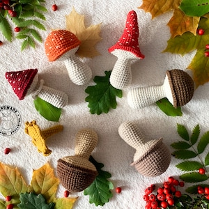 Crochet MUSHROOMS Kitchen play food Waldorf realistic toy Woodland Decor Amigurumi edible & poisonous mushroom Chanterelle Boletus Toadstool