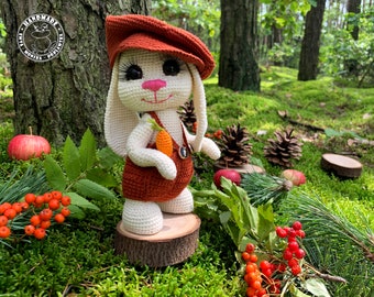 RICKY the Bunny | Amigurumi bunny | Collectible doll Baby bunny toy with outfit Handmade bunny Crochet rabbit Bunny plush Artist teddy bunny