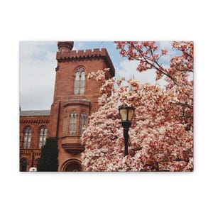 Smithsonian Gardens, Enid A. Haupt Garden, das Smithsonian Castle, Filmfoto