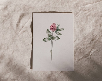 Postcard Red Clover, 300g/m2, DIN A6 / 4.1 x 5.8"