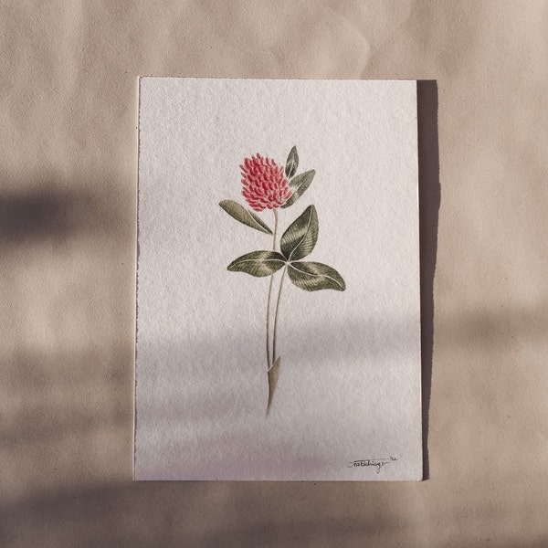 Original: Wild Red Clover Watercolor, DIN A5