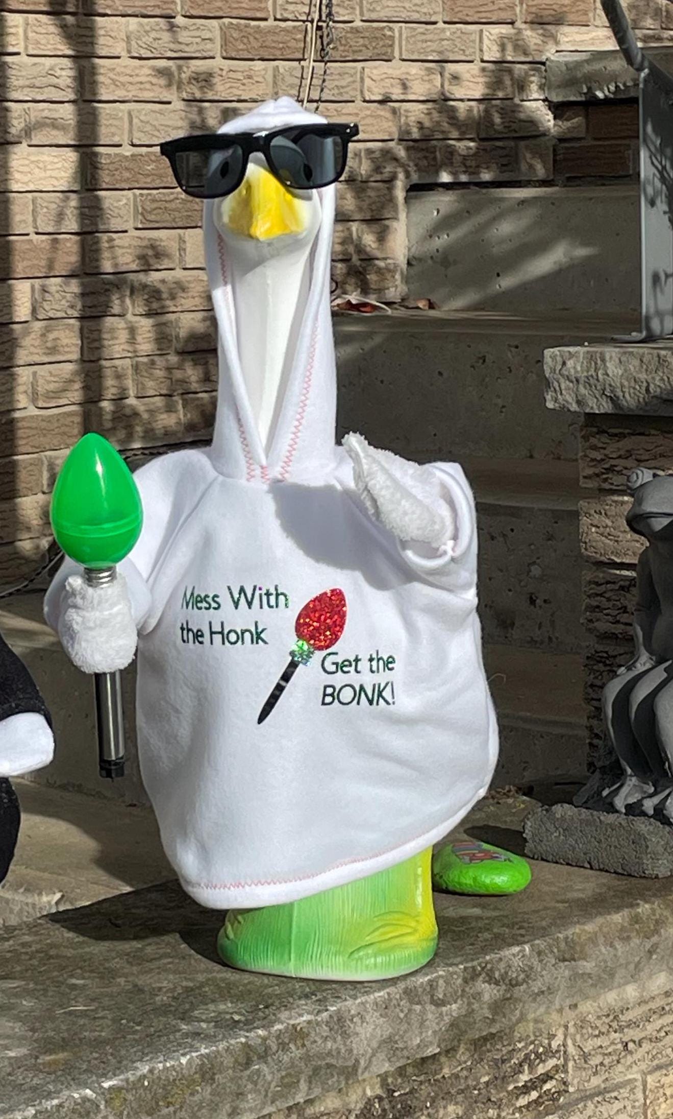 Goose Custom Custom Graphic Porch Goose Hoodie - Etsy