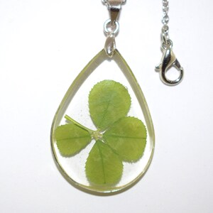 Teardrop shape Resin earrings with real four-leaf clovers
