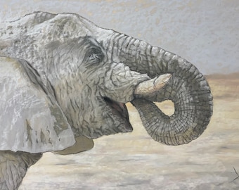 White Elephant