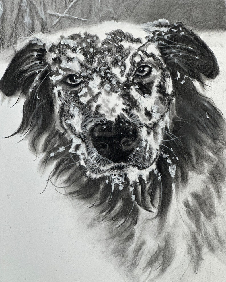 Custom Pet Portraits and Portraits by Lewis Testa From your Photos / All are examples of commissioned portraits. image 10