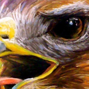 May include: Close-up painting of a hawk's head with a yellow beak, brown and gray feathers, and a sharp, focused eye. The background is a blurred green and yellow.