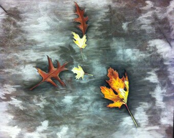 Fall on NY. Sidewalks