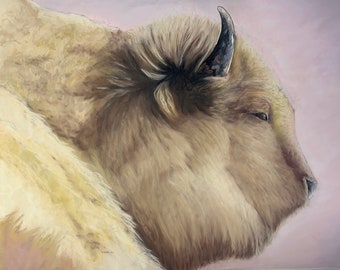 Sacred White Buffalo