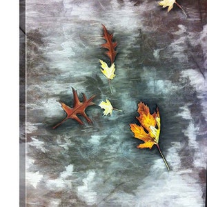 Fall on NY. Sidewalks image 2