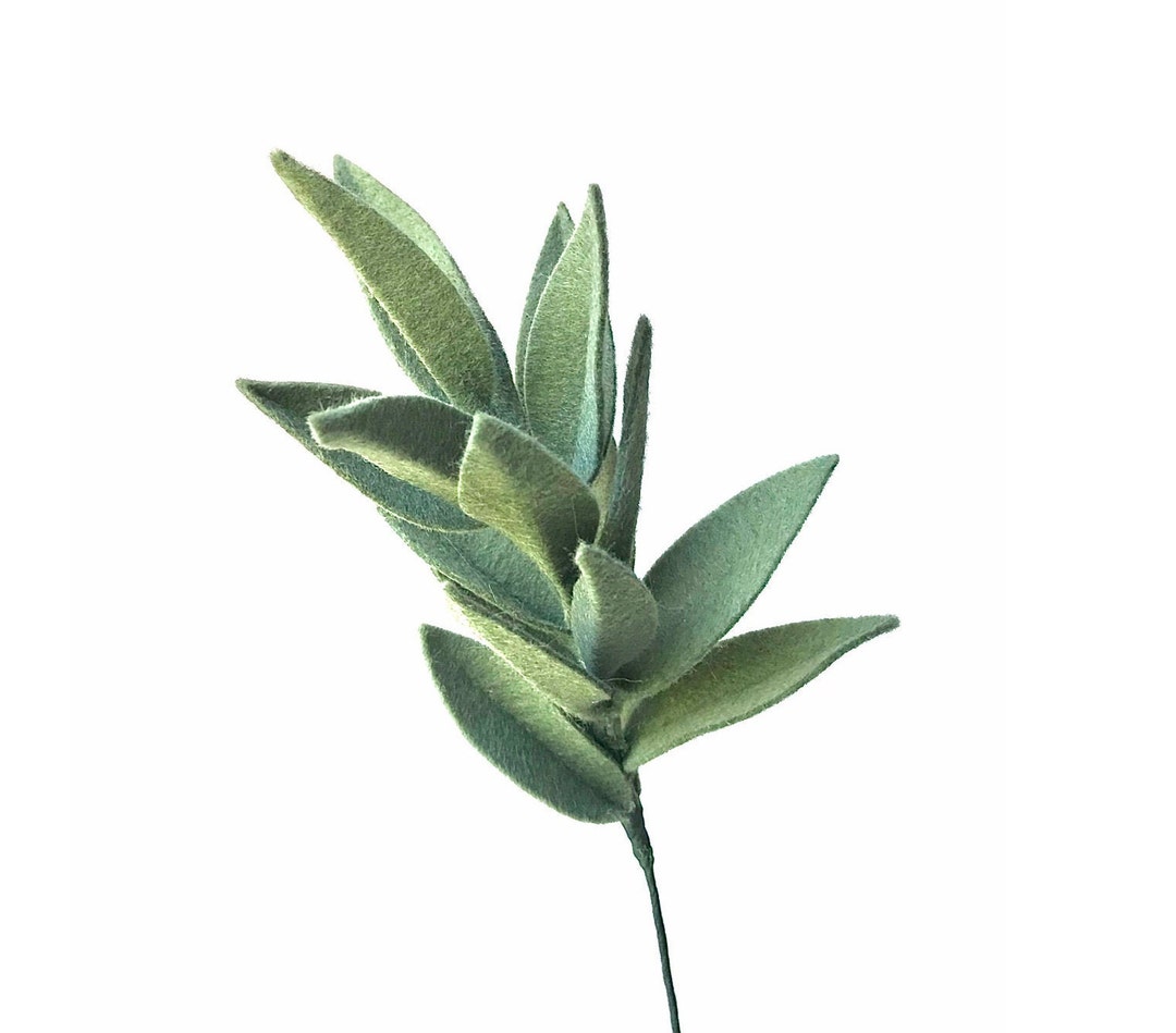 Sage Felt Leaf Stems Artificial Sage Greens Felt Foliage Etsy Singapore
