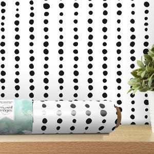 Artsy Black Dots Lines Modern Removable Wallpaper, Wall Art, Peel and Stick Wallpaper, Reusable, Mural Decor, Accent (Small Scale) MW1422sm
