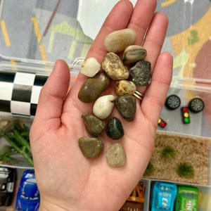 May include: A hand holding a collection of smooth, colorful stones. The stones vary in size and color, ranging from light beige to dark brown and green. The stones are in a clear plastic container with toy cars and accessories.
