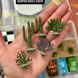 May include: Miniature green cacti and bushes in a clear plastic container. The text in the image reads "Bush Styles may vary, but you get 2 bushes and 2 cacti."